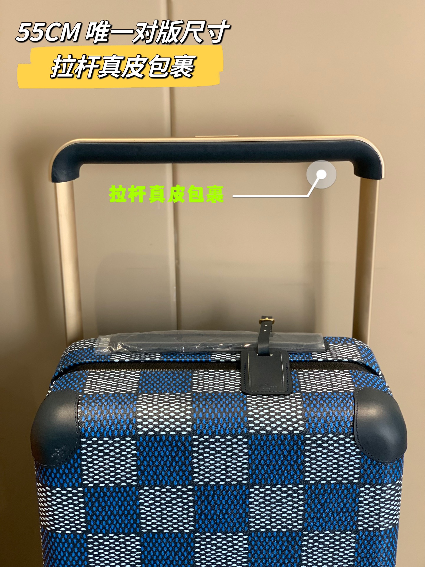 LV Suitcase